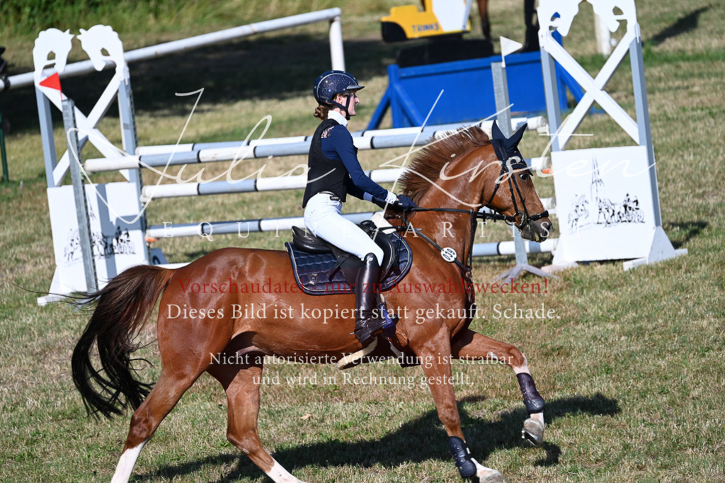 DSC_2331 | Pferde- und Turnierfotografie in Westsachsen. Pferdeportraits, Auftragszeichnungen und intuitive Kunst.