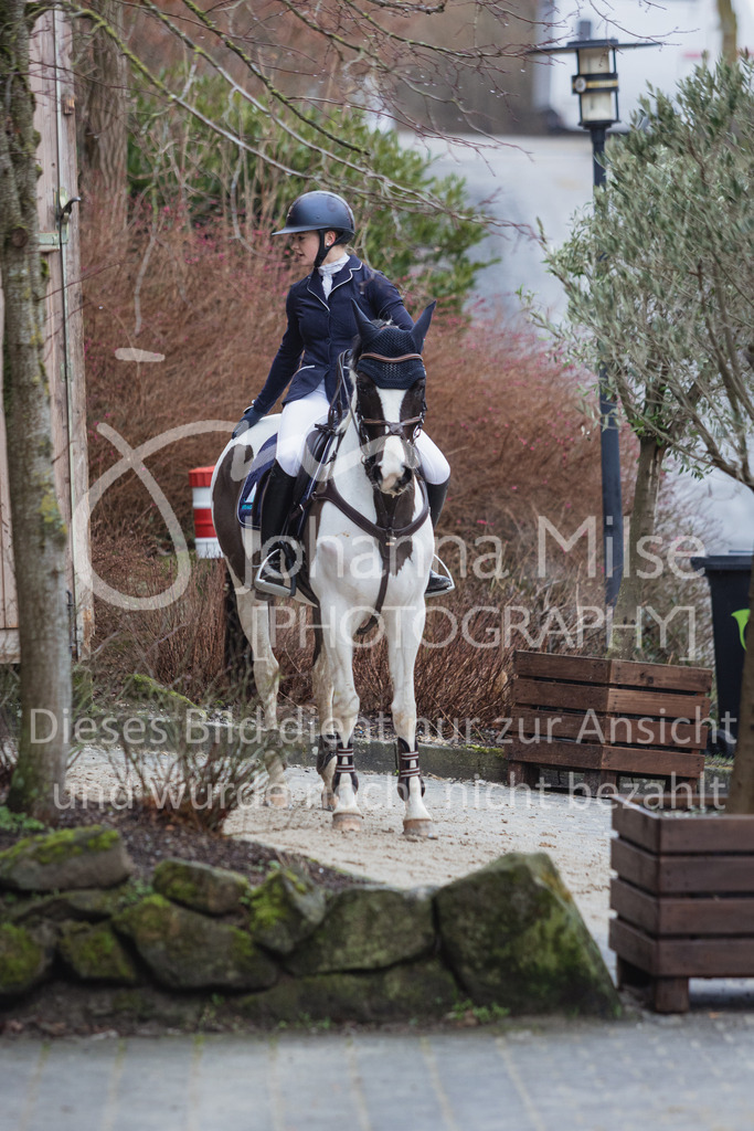 230212_Warstein_FinaleSmall-450 | Deine schönsten Turniermomente als professionelle Fotos! Entdecke hochwertige Pferdesport-Fotografie im Online-Shop. Jetzt Fotos finden & bestellen!
