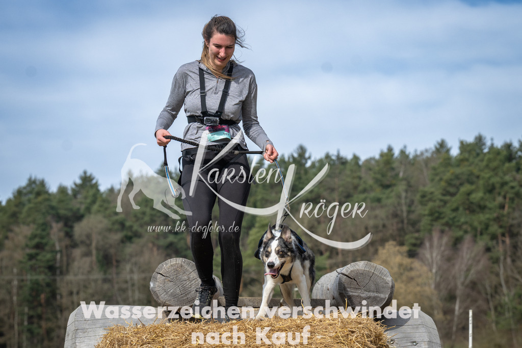 1047_ZZ93742 | kk-dogfotos