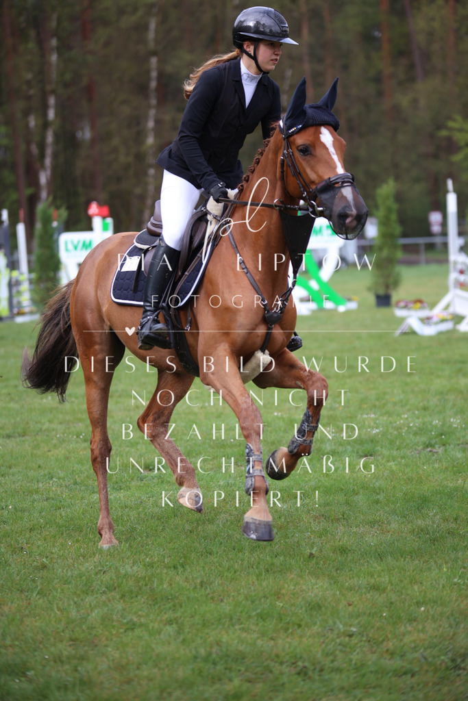 IMGT2739 | pl-fotografie