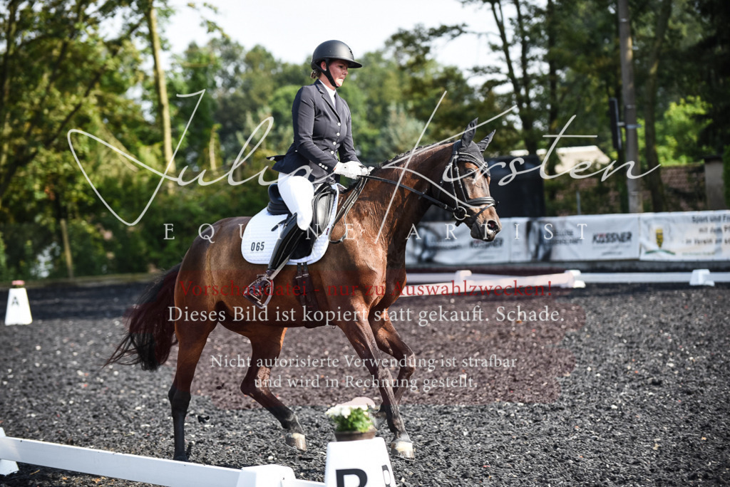 DSC_3120 | Pferde- und Turnierfotografie in Westsachsen. Pferdeportraits, Auftragszeichnungen und intuitive Kunst.