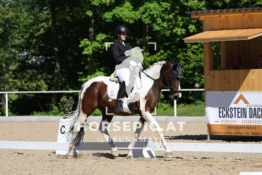 0P6A1805 | Willkommen bei Brunnmayr - Design & Fotografie – Ihrem Spezialisten für Reitturniere und Pferdeveranstaltungen in Oberösterreich, Salzburg und Bayern! Seit über 17 Jahren sind wir leidenschaftlich dabei.