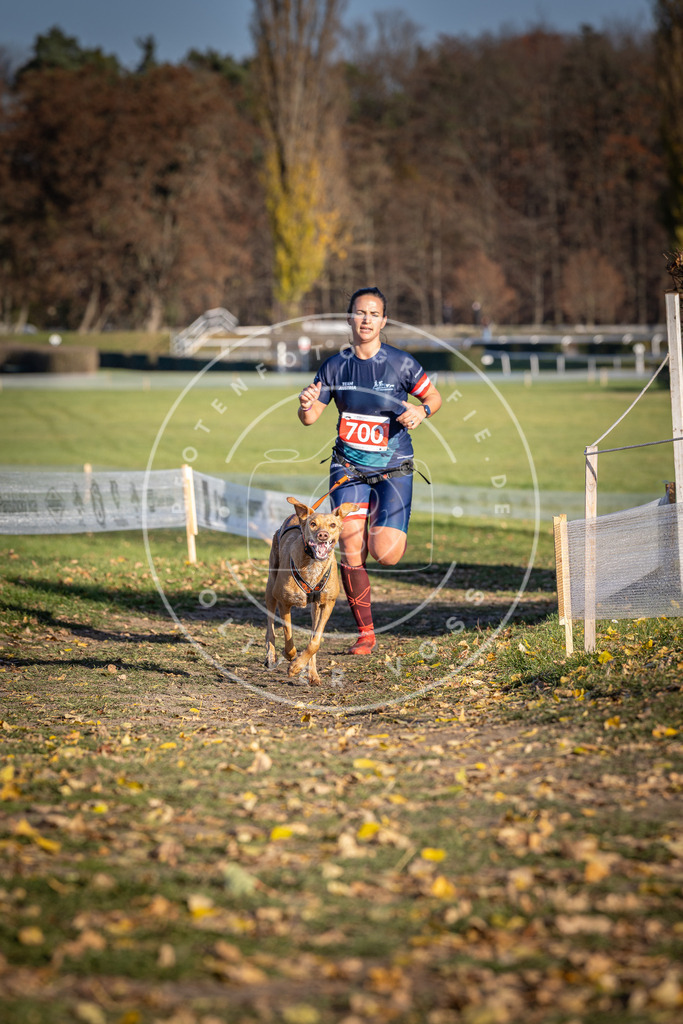 CaniXpix_DV3A1489 | Hundefotografie, Tierfotograf, Pfotenfotografie, Fotoshooting Hund, Hunde Portrait, Hundesport, Hundeportraits, Heideshooting, Hunde, Sportfotograf, Hundefotograf, Turnierhundsport, THS,  - Realisiert mit Pictrs.com