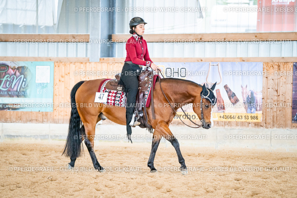 DSC02485 | Pferdegrafie