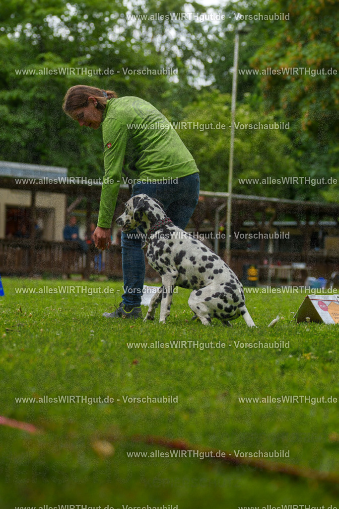 @allesWIRTHgut_Tierfotografie - www.allesWIRTHgut.de - 135137-7R500087 | Professionelle Tierfotografie in Mönchengladbach von Daniel Wirth (allesWIRTHgut). Liebevolle & natürliche Bilder von Hunden & Katzen für unvergessliche Erinnerungen.