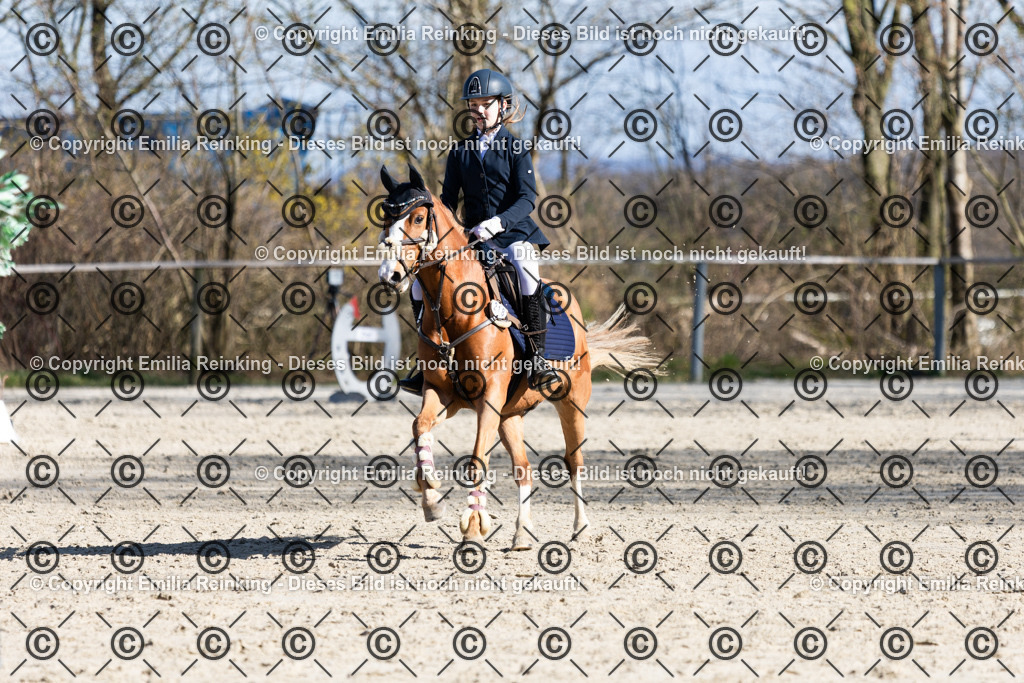 CL5A3133 | Emilia Reinking Fotografie - Realisiert mit Pictrs.com