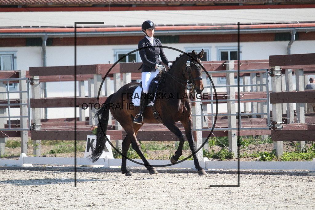 IMG_2007 | franziskalange - Realisiert mit Pictrs.com