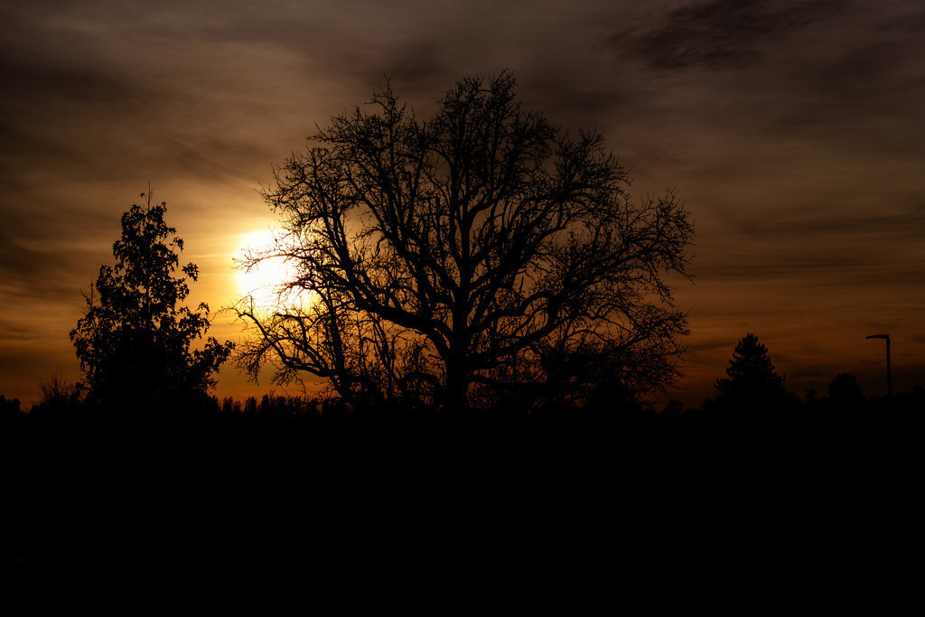 Sonnenuntergang #5 | Tier- & Landschaftsfotografie und Porträtshootings. Entdecke einzigartige Fotokunst als Wandbild, Tasse oder Mauspad – mit Leidenschaft fotografiert - Realisiert mit Pictrs.com