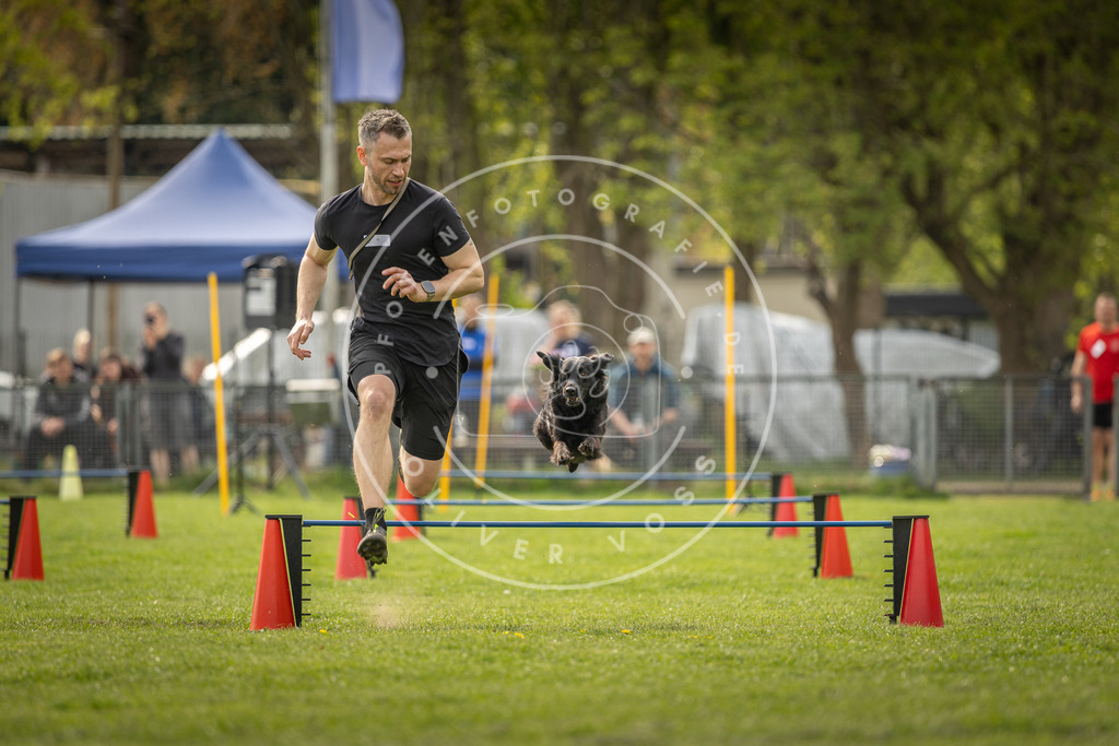 Pfotenfotografie_DV3A5968 | Hundefotografie, Tierfotograf, Pfotenfotografie, Fotoshooting Hund, Hunde Portrait, Hundesport, Hundeportraits, Heideshooting, Hunde, Sportfotograf, Hundefotograf, Turnierhundsport, THS,  - Realisiert mit Pictrs.com