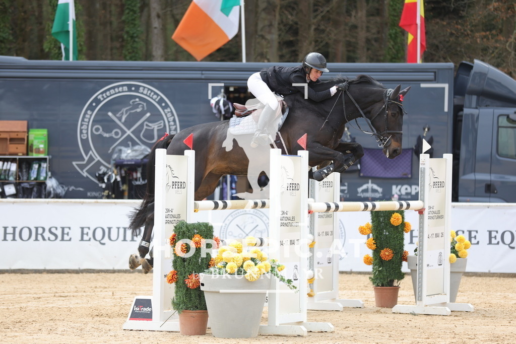 0P6A5337 | Willkommen bei Brunnmayr - Design & Fotografie – Ihrem Spezialisten für Reitturniere und Pferdeveranstaltungen in Oberösterreich, Salzburg und Bayern! Seit über 17 Jahren sind wir leidenschaftlich dabei.