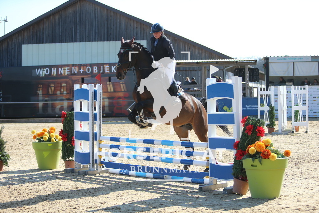 DL2Q2584 | Willkommen bei Brunnmayr - Design & Fotografie – Ihrem Spezialisten für Reitturniere und Pferdeveranstaltungen in Oberösterreich, Salzburg und Bayern! Seit über 17 Jahren sind wir leidenschaftlich dabei.