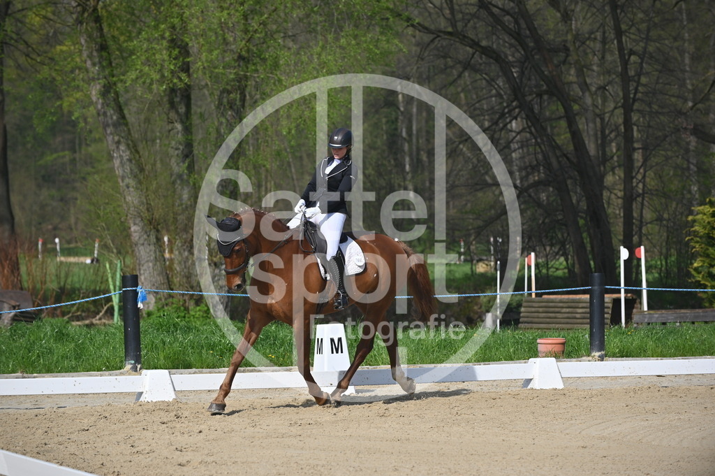 DSC_0461 | sattelsport - Realisiert mit Pictrs.com