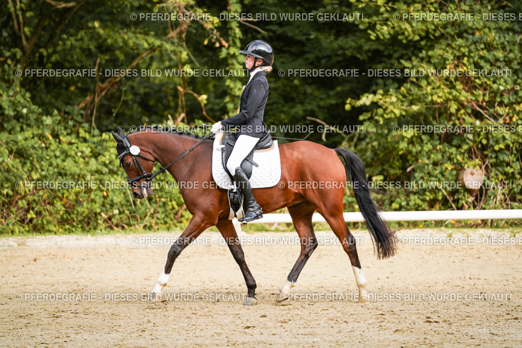 DSC09746 | Pferdegrafie