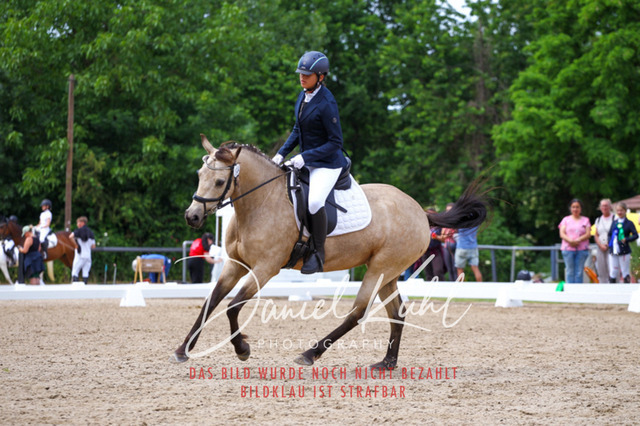 DKP46290 | Turnierfotos kaufen im Webshop von Daniel Kuhl Photography – entdecke professionelle Reitsportfotos aus Turnieren & Events. Hochwertige Turnierbilder online bestellen & sichern. Jetzt Fotos von Reitsportturnieren kaufen!