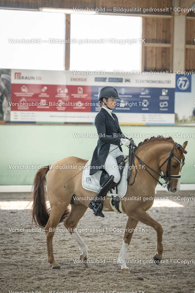 _D5A9411 | Emotionale Pferde- & People-Fotografie rund um Heidelberg, Leimen & Umgebung. Natürliche Fotos von Pferd, Mensch & Familie. Jetzt Termin sichern!