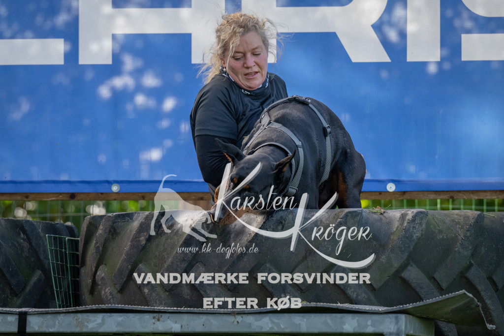 1123-92063 | kk-dogfotos
