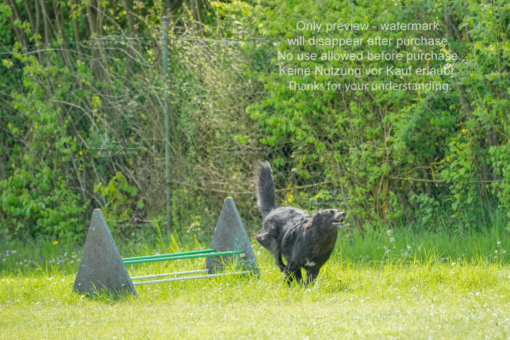 Sa_Laeufe_VK1und2_06-11 | stephaniefillaphotographie - Realisiert mit Pictrs.com