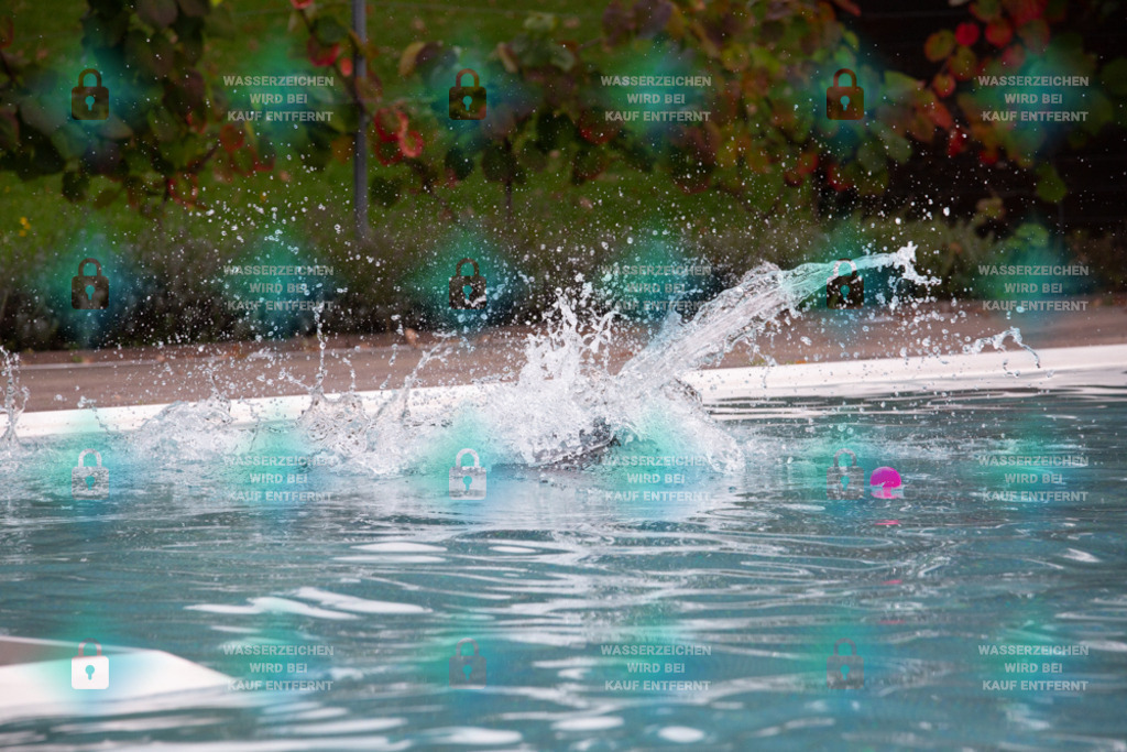 _HP_7509_1000o | HetPix, HetPix Fotodesign, Fotografie, Fotodesign, Webshop, Sportfotografie, Portraitfotografie, Onlineshop, Sportfotografie, Polch, Motorsportfotografie, Eventfotografie