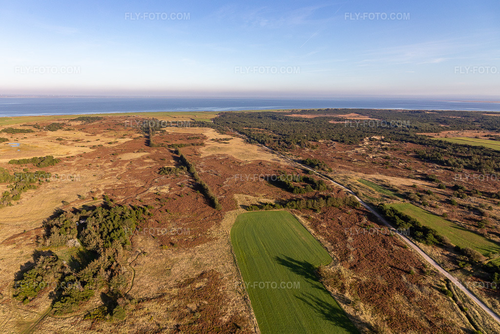 Aerial view: Wadden Sea National Park in Fanø in the state South Denmark, Denmark.Photo: IMG_118827.jpg taken on 09/21/2019 by Werner Riehm/FLY-FOTO.comResolution of the original: 5219 x 3479 px