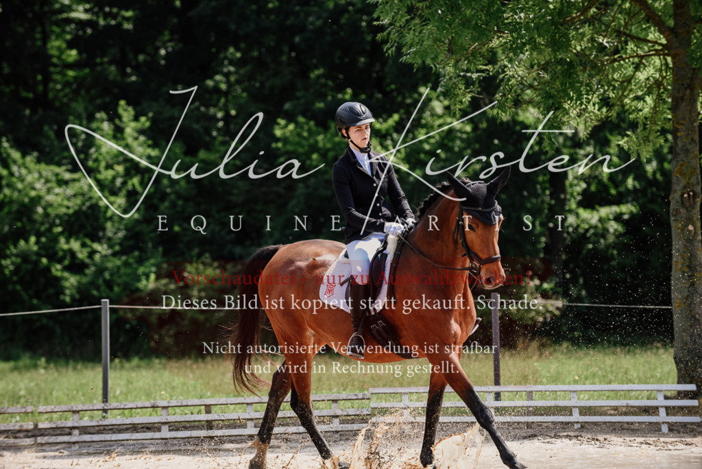 DSC_1024 | Pferde- und Turnierfotografie in Westsachsen. Pferdeportraits, Auftragszeichnungen und intuitive Kunst.