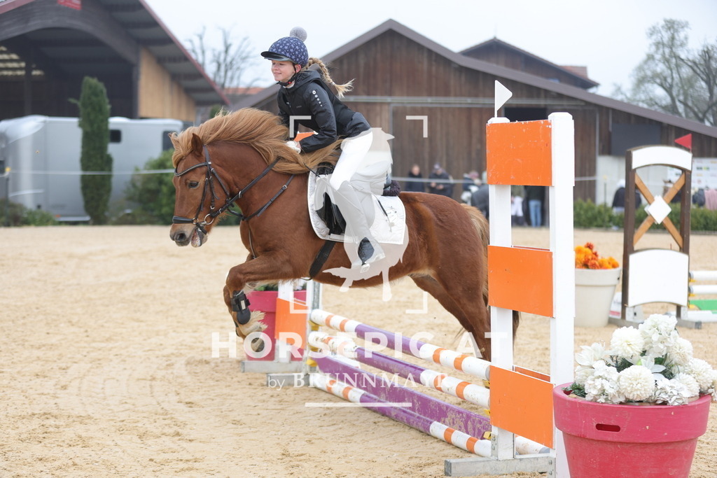 0P6A8643 | Willkommen bei Brunnmayr - Design & Fotografie – Ihrem Spezialisten für Reitturniere und Pferdeveranstaltungen in Oberösterreich, Salzburg und Bayern! Seit über 17 Jahren sind wir leidenschaftlich dabei.