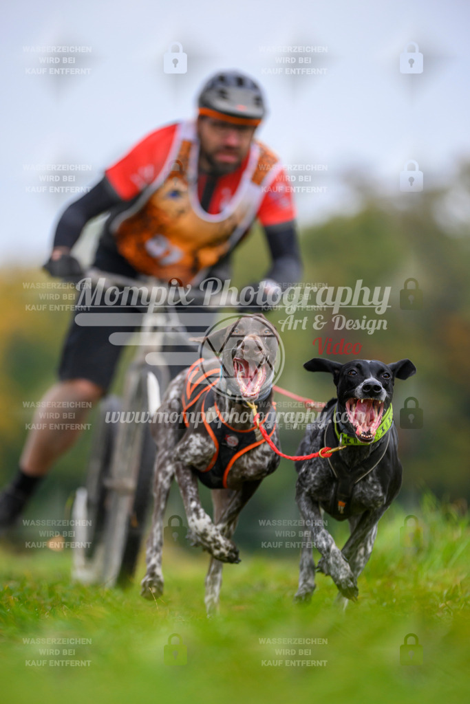 MompixPhotography_CDLBDB2025_DI_DS-10 | PayLife