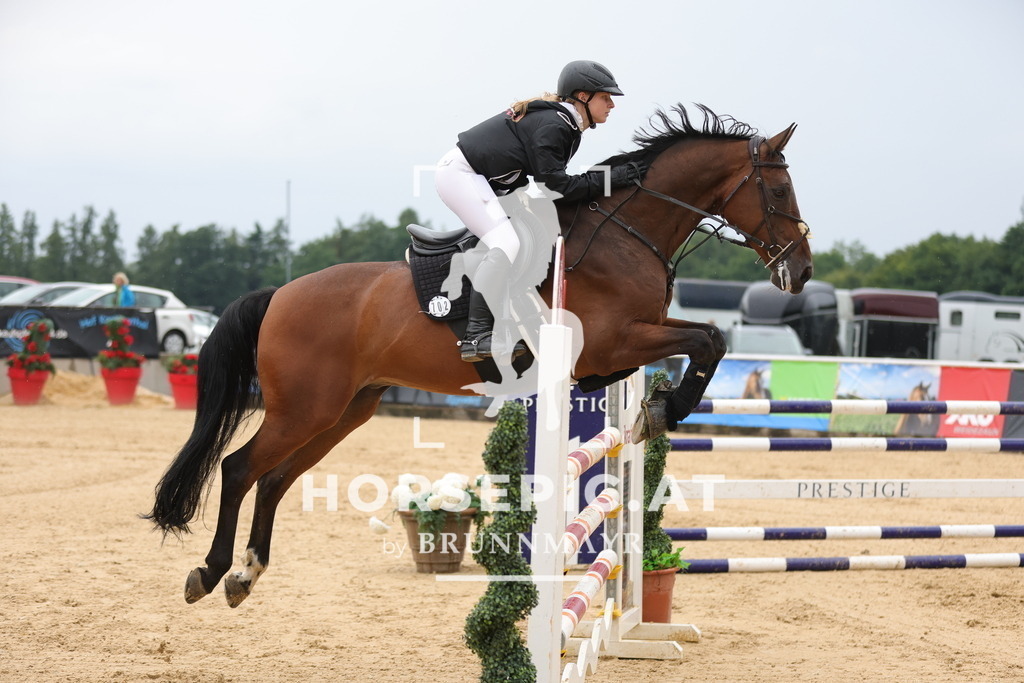 0P6A2813 | Willkommen bei Brunnmayr - Design & Fotografie – Ihrem Spezialisten für Reitturniere und Pferdeveranstaltungen in Oberösterreich, Salzburg und Bayern! Seit über 17 Jahren sind wir leidenschaftlich dabei.