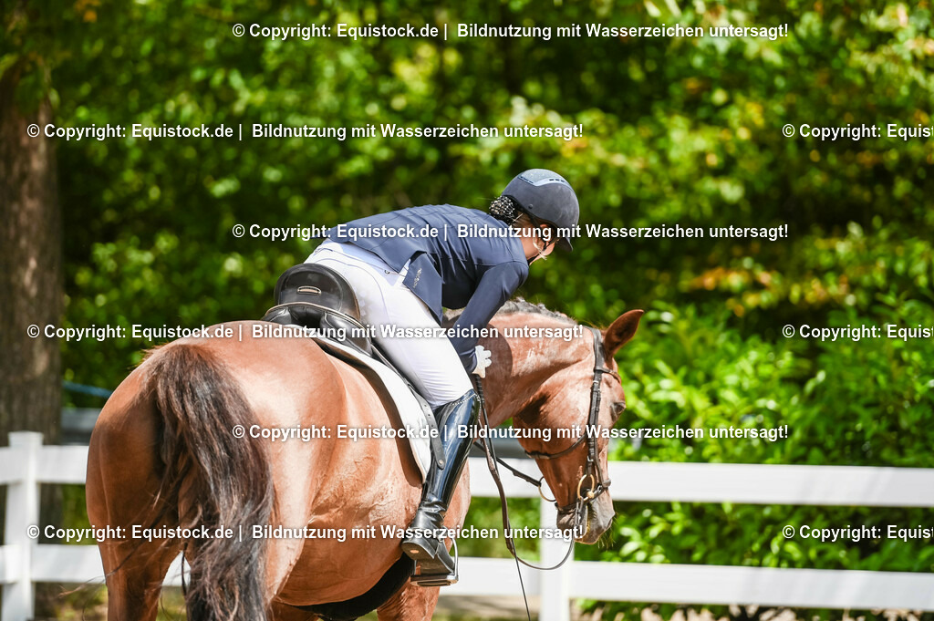 20230716_03_Dressurprfg. Kl.L - Tr._0419 | equistock