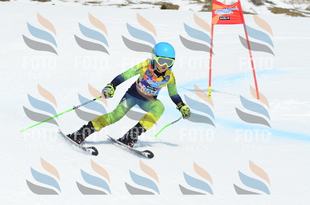 _ELE2236 | holidayphoto