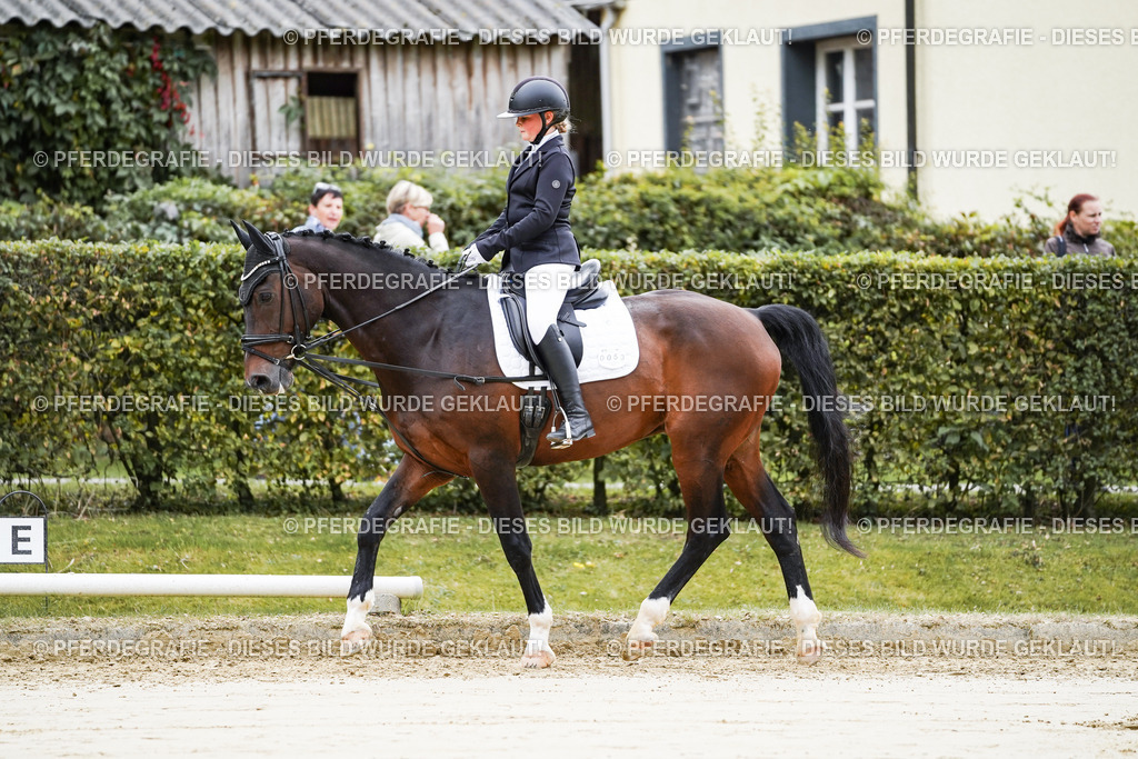 DSC04870 | Pferdegrafie