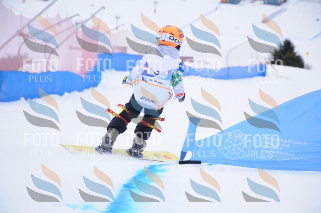 DSC_9532 | holidayphoto