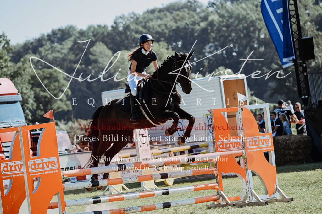 DSC_5918 | Pferde- und Turnierfotografie in Westsachsen. Pferdeportraits, Auftragszeichnungen und intuitive Kunst.