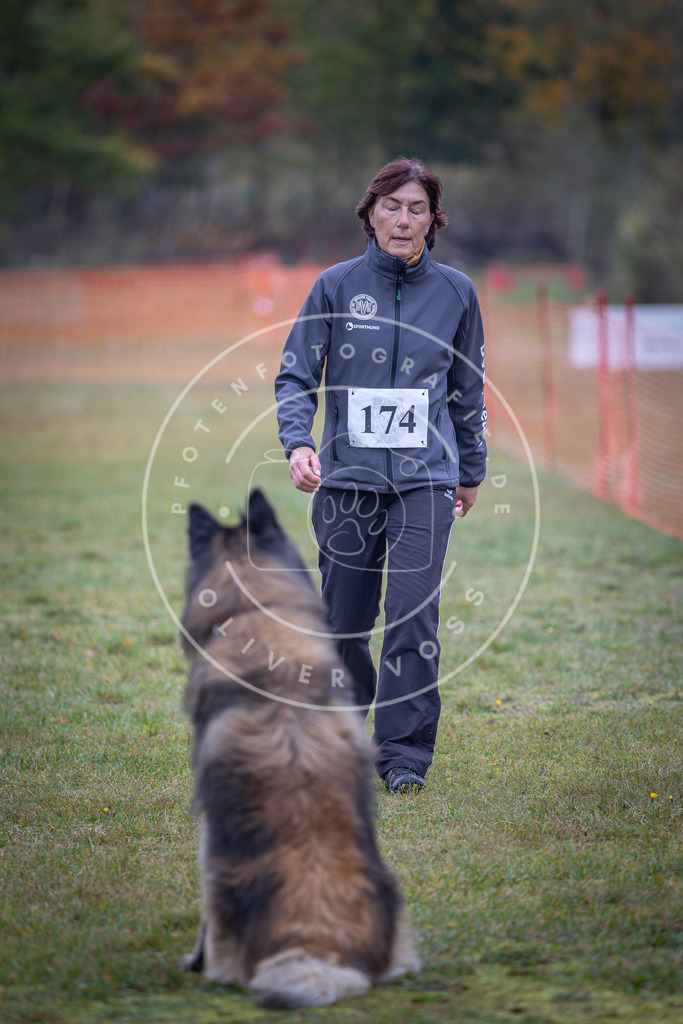 Pfotenfotografie_DV3A9282 | Hundefotografie, Tierfotograf, Pfotenfotografie, Fotoshooting Hund, Hunde Portrait, Hundesport, Hundeportraits, Heideshooting, Hunde, Sportfotograf, Hundefotograf, Turnierhundsport, THS,  - Realisiert mit Pictrs.com