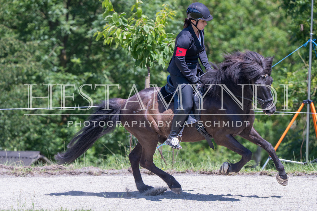 KAI03556 | Ihr sucht einen Fotografen für eure nächste OSI? Ich begleite auch euer Turnier für Islandpferde fotografisch.  - Realisiert mit Pictrs.com