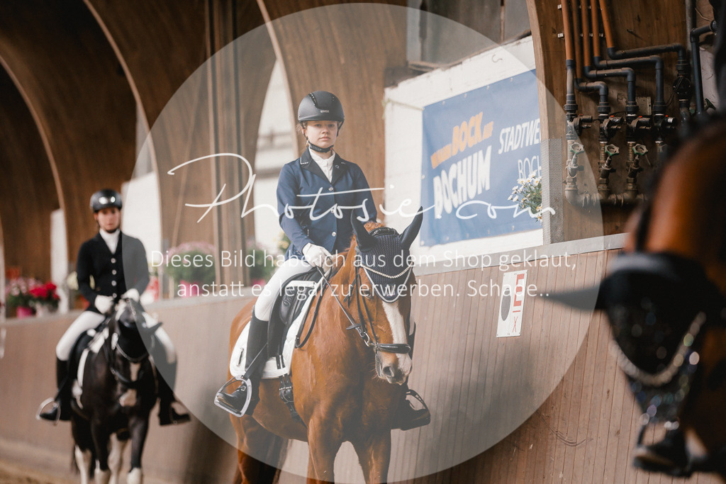 3I6A7376 | Stimmungsvolle Portraits und Reitsportfotografie im Ruhrgebiet und im Münsterland.

Pferdefotografie, Hundefotografie, Tierfotografie, Reportagen, Portraits von Tier und Mensch, Turnierfotografie in Bochum, Recklinghausen, Marl, Haltern am See, Dülmen.. - Realisiert mit Pictrs.com