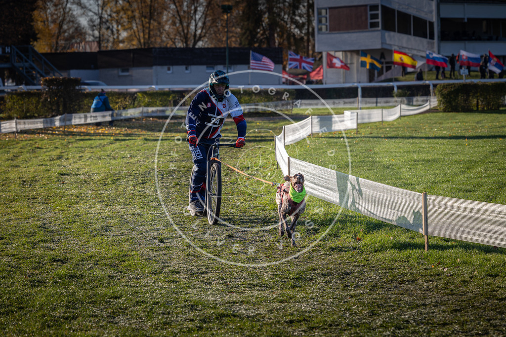 CaniXpix_0L8A3888 | Hundefotografie, Tierfotograf, Pfotenfotografie, Fotoshooting Hund, Hunde Portrait, Hundesport, Hundeportraits, Heideshooting, Hunde, Sportfotograf, Hundefotograf, Turnierhundsport, THS,  - Realisiert mit Pictrs.com