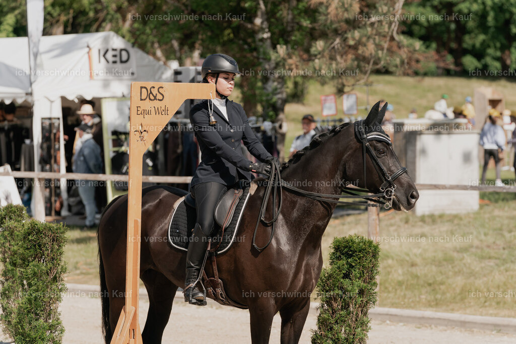 WE_ST_Stoib_316_PI2025_937 | Pferd International München 2025