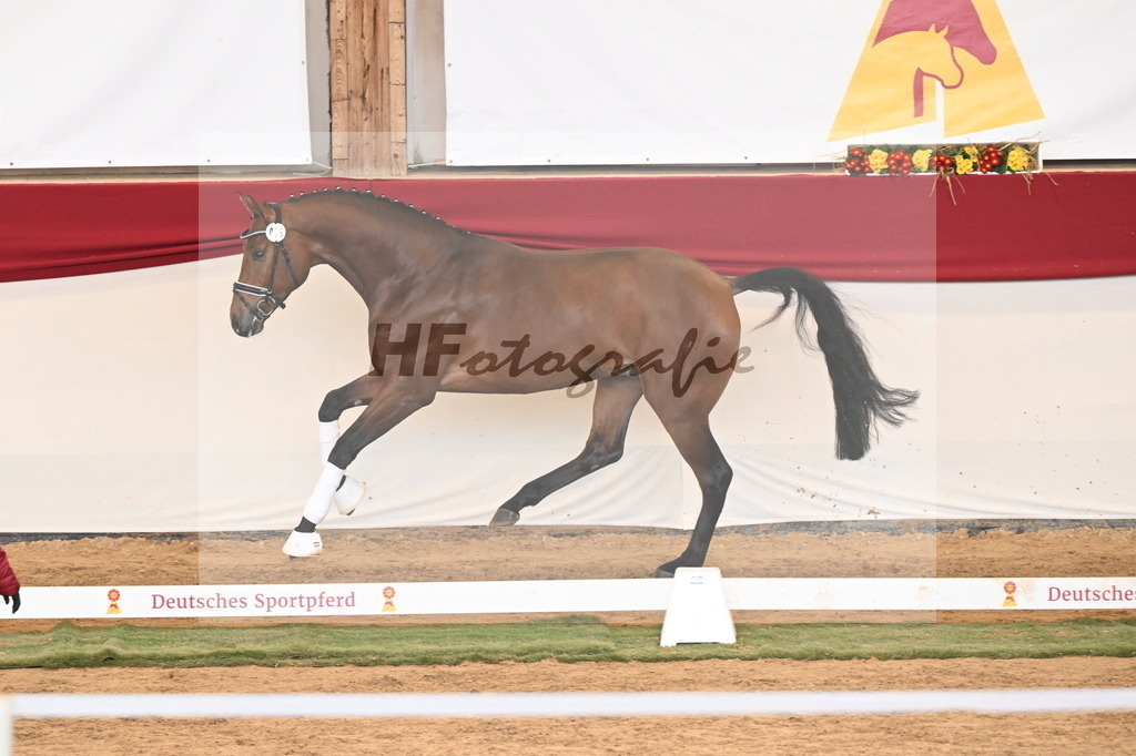 Kat.-Nr. 89 v. Zackerey_Ramsbrock_3261333 | hf-fotografie - Realizzato con Pictrs.com