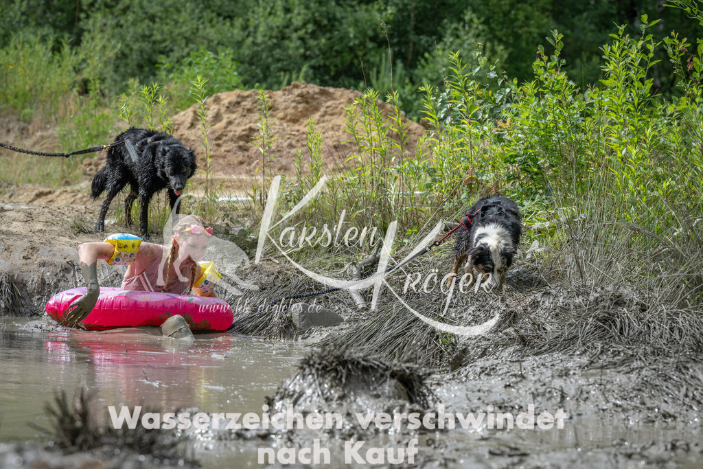 1054_ZZ95000 | kk-dogfotos