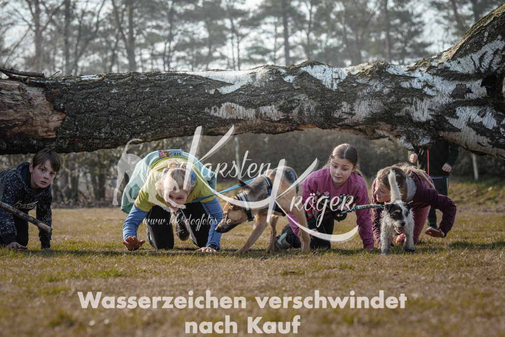 1011_ZZ91690 | kk-dogfotos
