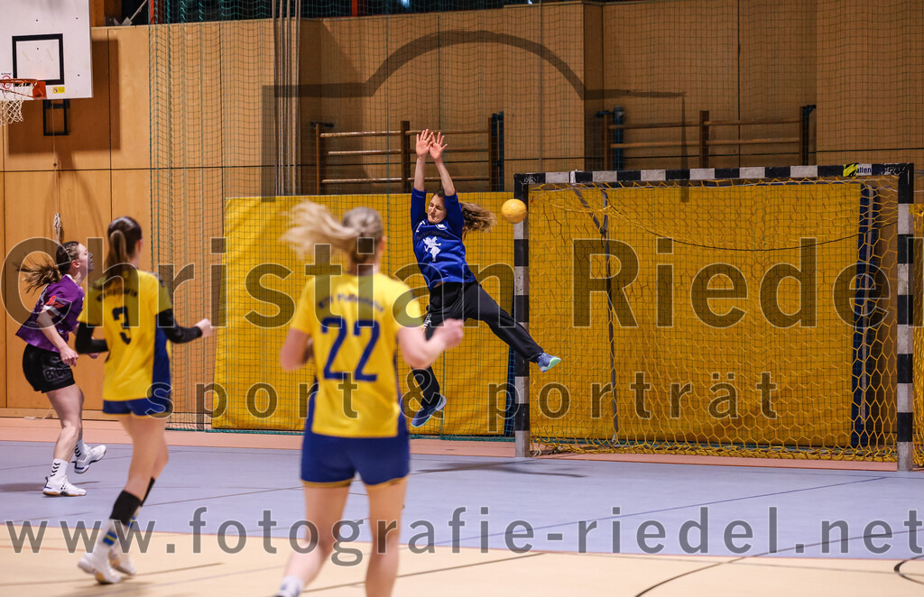 2025-02-15_086_SpVgg_Altenerding_gegen_MTV_Pfaffenhofen | Erding, Deutschland, 15.02.2025:Handball, Bezirksoberliga Frauen Altbayern 2024 / 2024, 14. Spieltag, SpVgg Altenerding gegen MTV Pfaffenhofen, Endergebnis: 27:23Sophie Lößl (SpVgg Altenerding, #14), Lene Köhn (MTV Pfaffenhofen, #3), Daniela Reiher (MTV Pfaffenhofen, #22), Torfrau Annika Riehm (MTV Pfaffenhofen, #12)Foto: Christian Riedel / fotografie-riedel.net