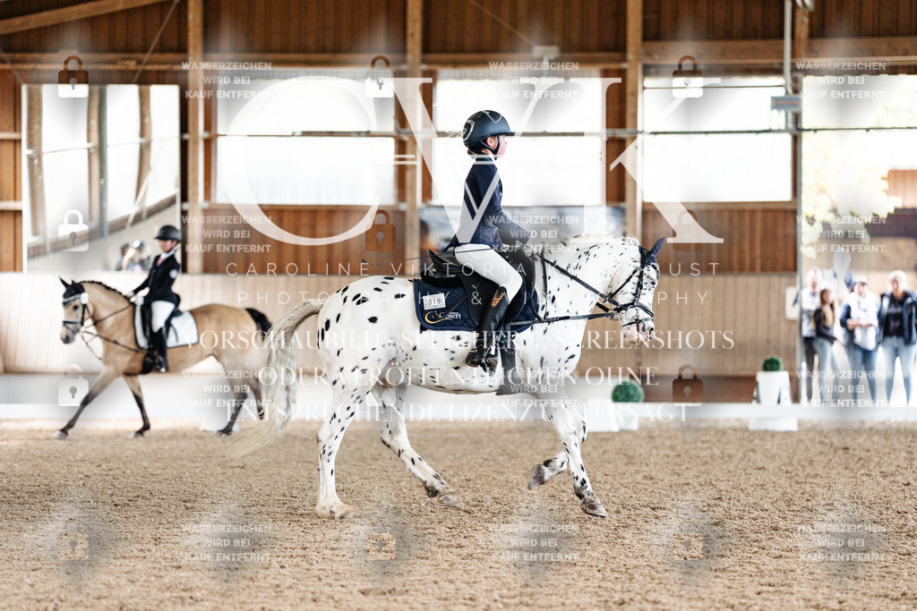 CK900041 | Turnierfotografie Pferdefotografie Trier Rheinland-Pfalz Pferdesport Reitsport Tierfotografie Sportfotografie Pferdevideo Pferdevideografie Equestrianvideography equestrianphotography  - Realisiert mit Pictrs.com