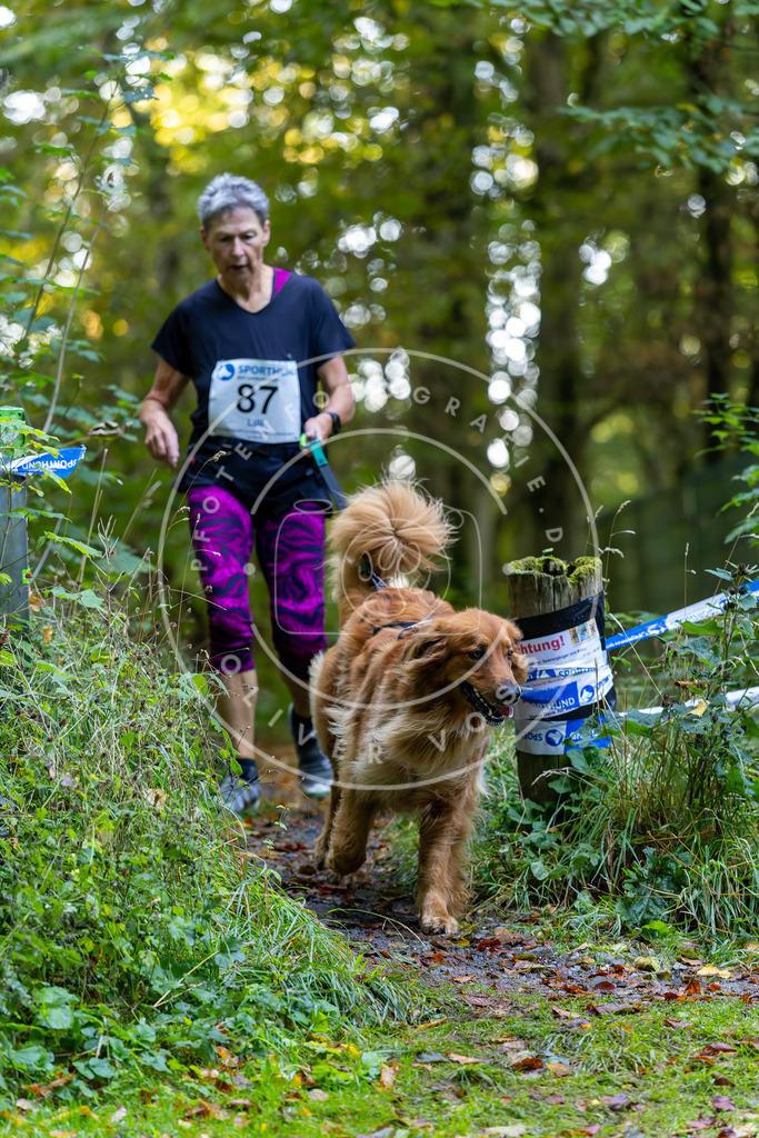 Pfotenfotografie_DV3A7627 | Hundefotografie, Tierfotograf, Pfotenfotografie, Fotoshooting Hund, Hunde Portrait, Hundesport, Hundeportraits, Heideshooting, Hunde, Sportfotograf, Hundefotograf, Turnierhundsport, THS,  - Realisiert mit Pictrs.com