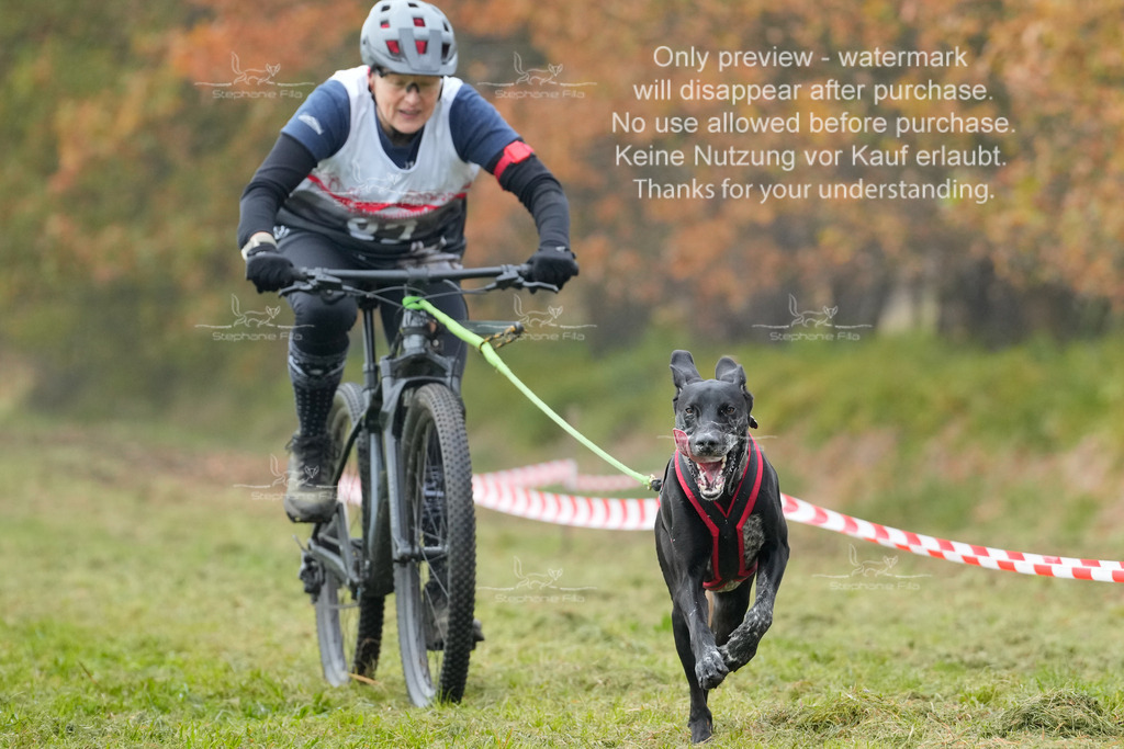 AusschnitteSa-140 | stephaniefillaphotographie - Realisiert mit Pictrs.com