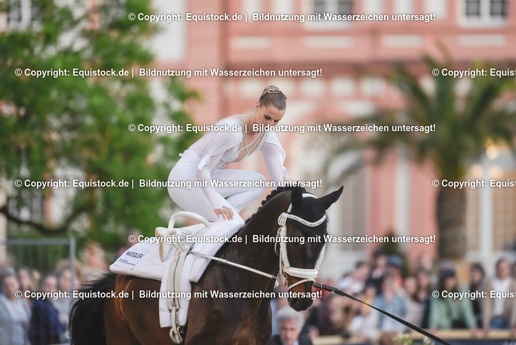 20230527_Voltigieren_NASPA_Flutlicht_0140 | equistock