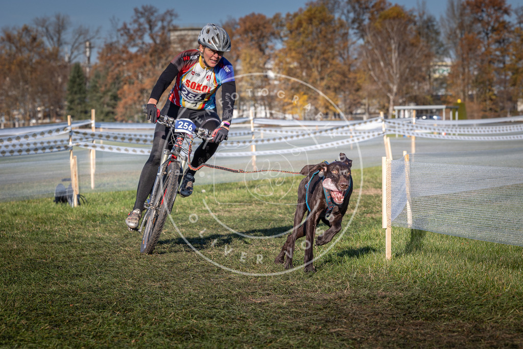 CaniXpix_0L8A4974 | Hundefotografie, Tierfotograf, Pfotenfotografie, Fotoshooting Hund, Hunde Portrait, Hundesport, Hundeportraits, Heideshooting, Hunde, Sportfotograf, Hundefotograf, Turnierhundsport, THS,  - Realisiert mit Pictrs.com