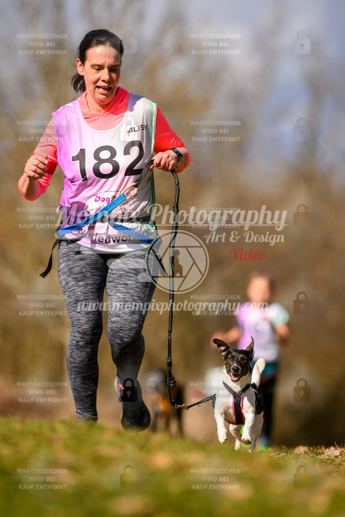 MompixPhotography_10Schwabentrail2026_SO_Canicross-120 | PayLife