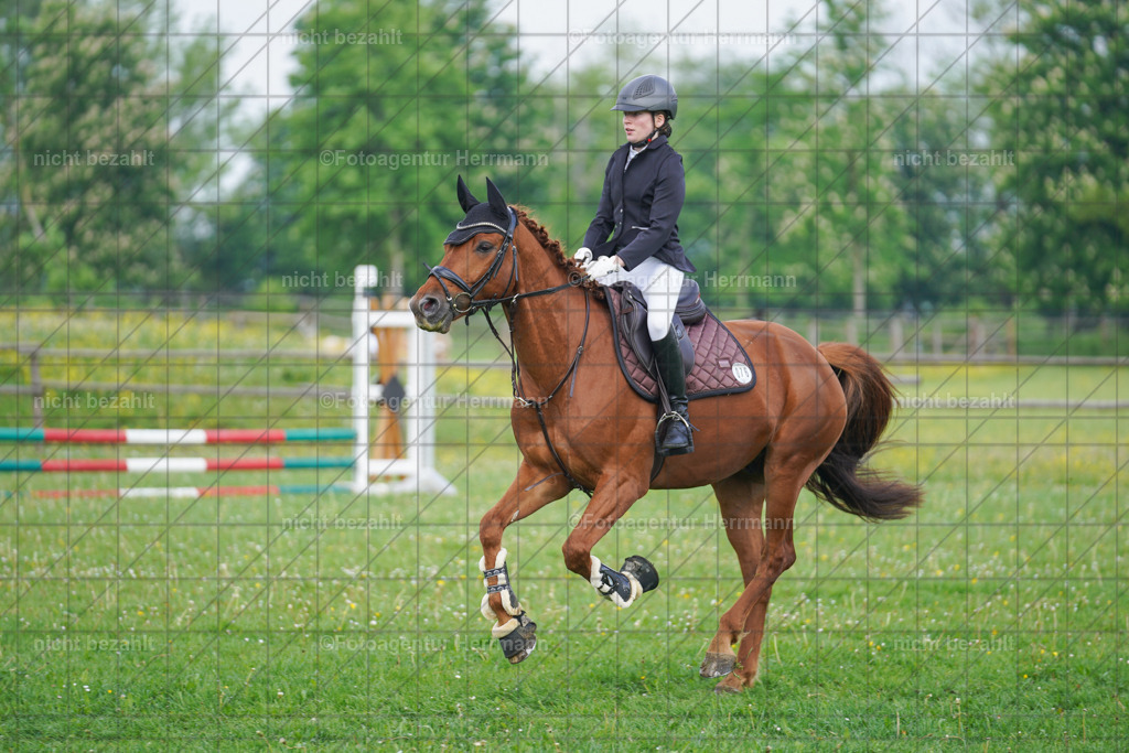 20240509-FAH02189 | Turnierbilder der Turnierfotografen Bayern, Pferdesport Fotografie, Reitsportbilder, Turnier Landberg am Lech, Turnierbilder bayern, Fotoagentur Herrmann