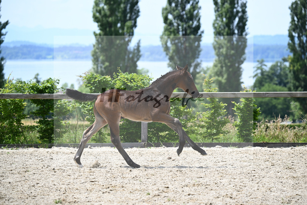 Bon Esprit x Fidertanz_HF_Bosch_19240526 | hf-fotografie - Realisiert mit Pictrs.com