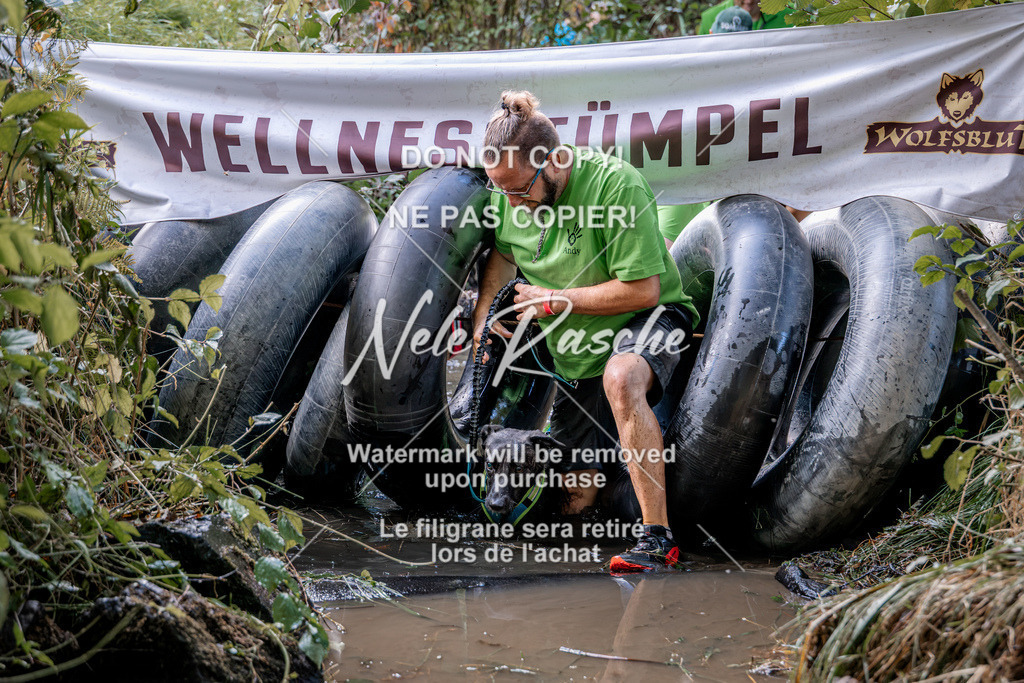 nelerasche_Hunsrück2026_Sa1400-1500_68 | nelerasche